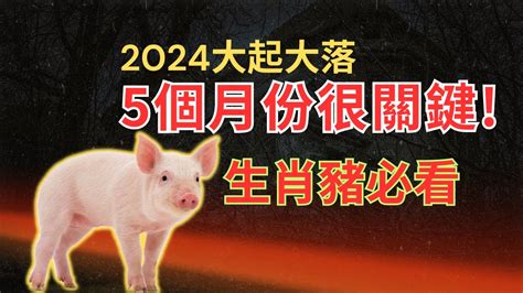 豬運程2024